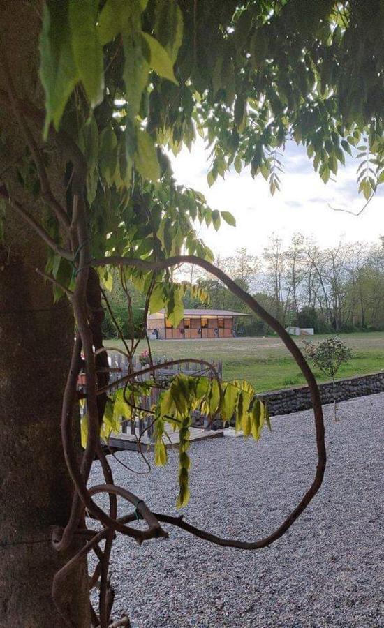 Agriturismo Helianthus Oleggio Eksteriør bilde
