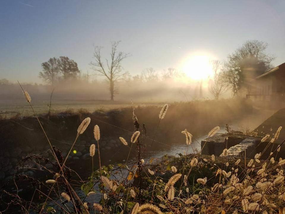 Agriturismo Helianthus Oleggio Eksteriør bilde