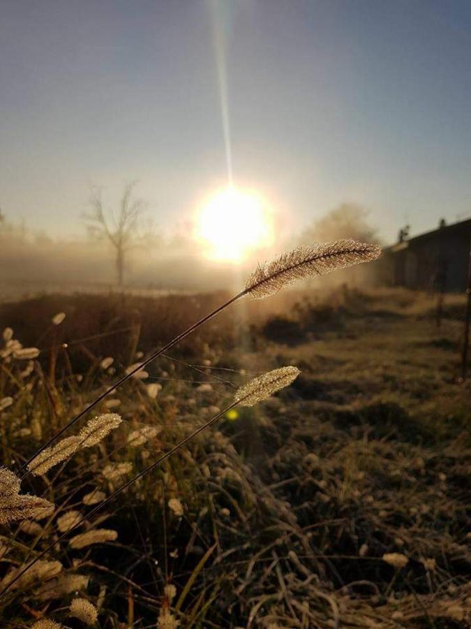 Agriturismo Helianthus Oleggio Eksteriør bilde