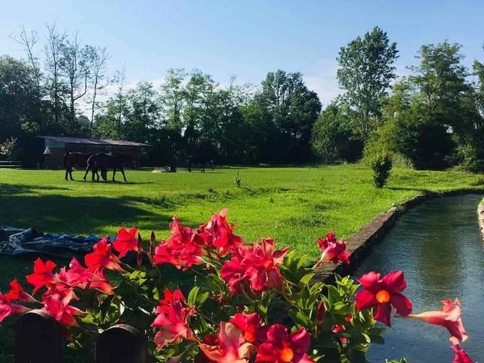 Agriturismo Helianthus Oleggio Eksteriør bilde