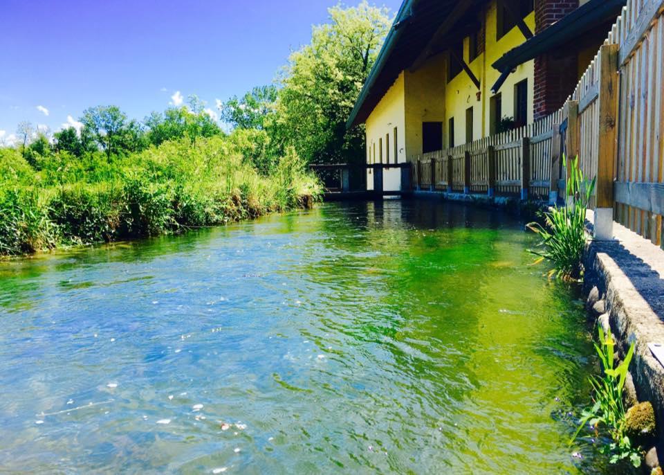 Agriturismo Helianthus Oleggio Eksteriør bilde