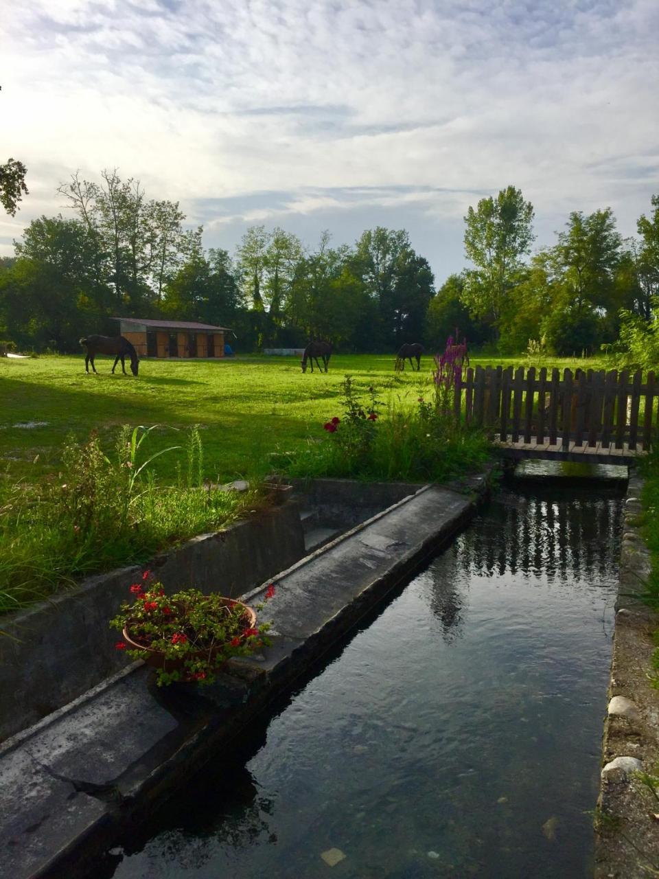 Agriturismo Helianthus Oleggio Eksteriør bilde