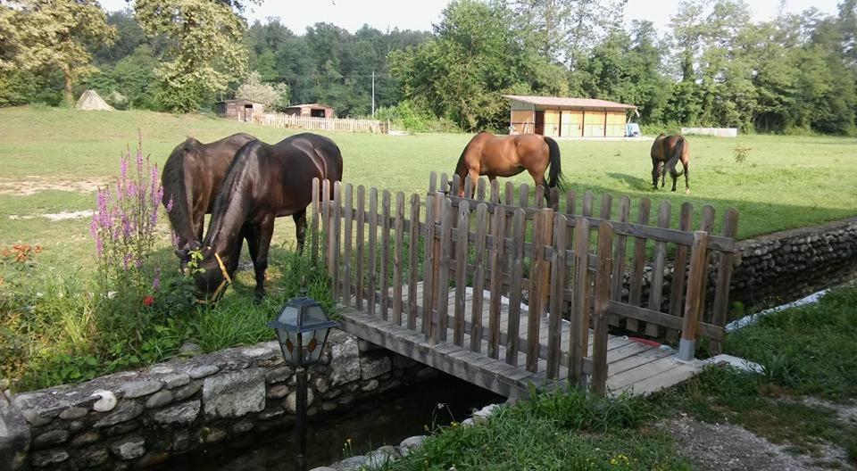 Agriturismo Helianthus Oleggio Eksteriør bilde